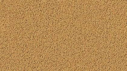 7723 Camel