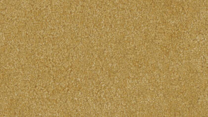 2513 Sand