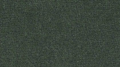 2519 Slate