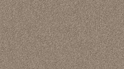 1229 Dust