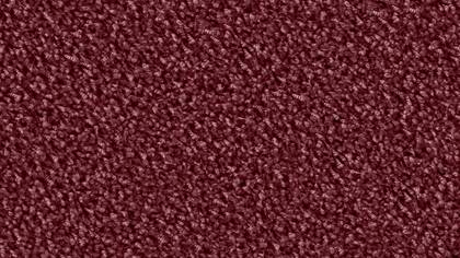 6877 Burgund
