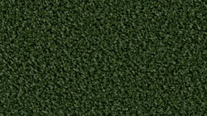 6874 Evergreen
